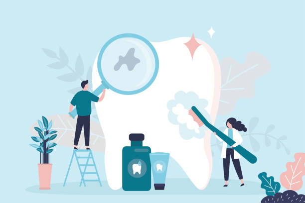 Best Traditional Braces  in Willow Park, TX